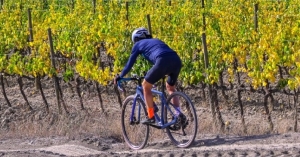 In fuga con 2 ruote e un 1 calice di vino. Massimiliano Bellavista e Paolo Ciampi al III° Val d’Orcia Gravel